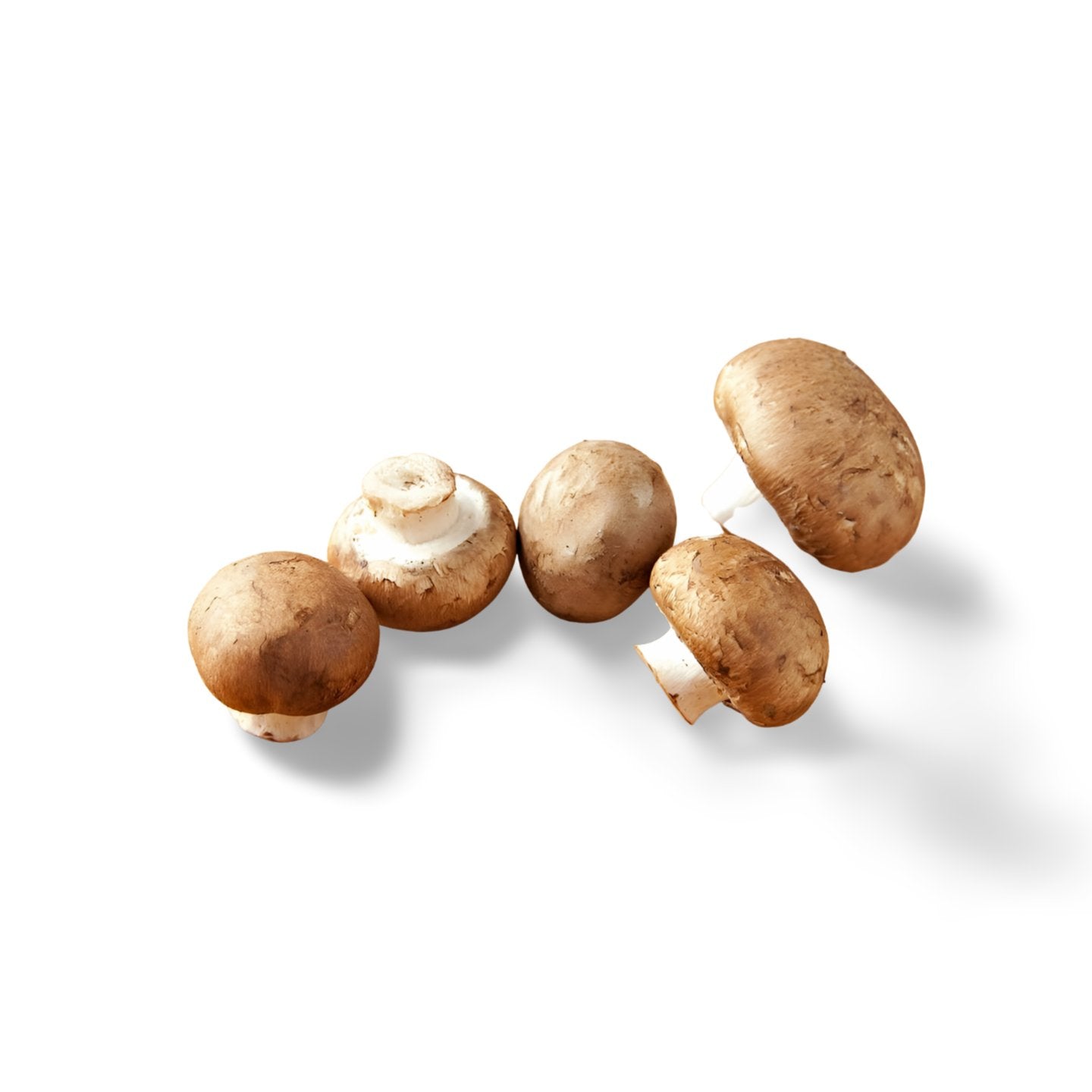 Fresh Mushrooms